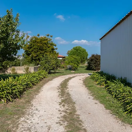 Du Pagoulin - Coquelicots *