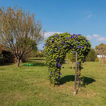 Du Pagoulin - Coquelicots דירה הייר