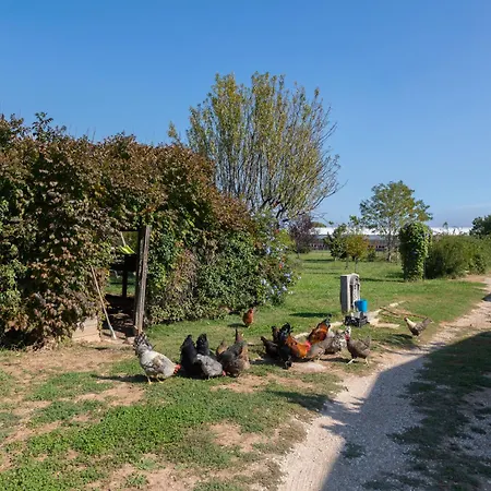Apartmán Du Pagoulin - Coquelicots
