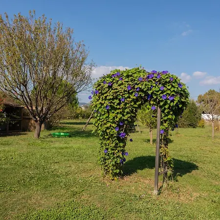 Apartmán Du Pagoulin - Coquelicots