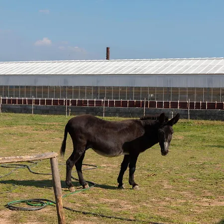Du Pagoulin - Coquelicots Apartamento Hyères