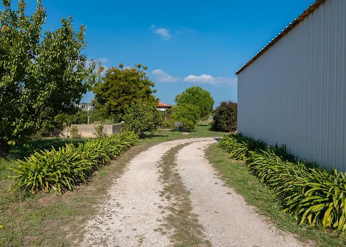 Du Pagoulin - Coquelicots *