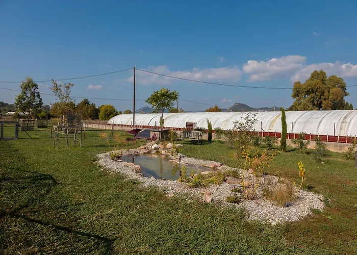 Du Pagoulin - Coquelicots * Hyères