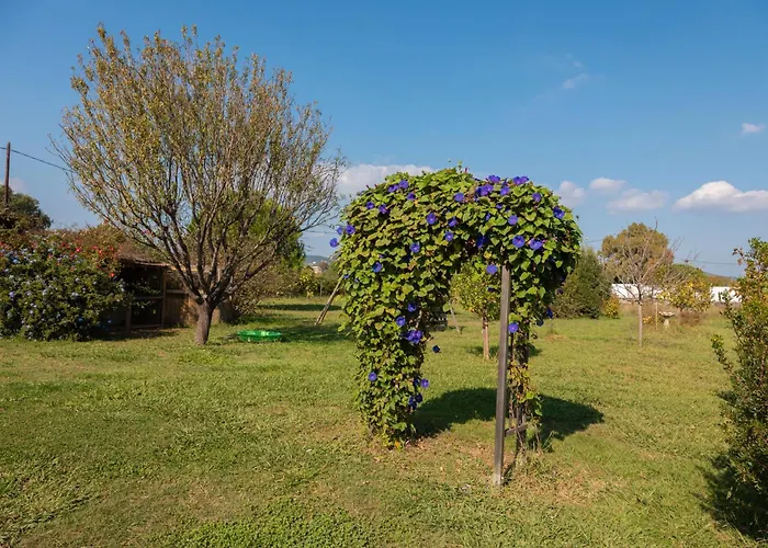 Du Pagoulin - Coquelicots Lejlighed Hyères