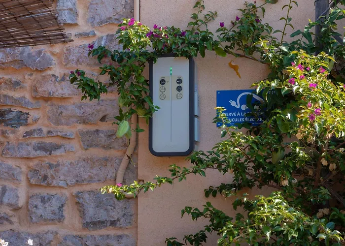 Du Pagoulin - Coquelicots * Hyères